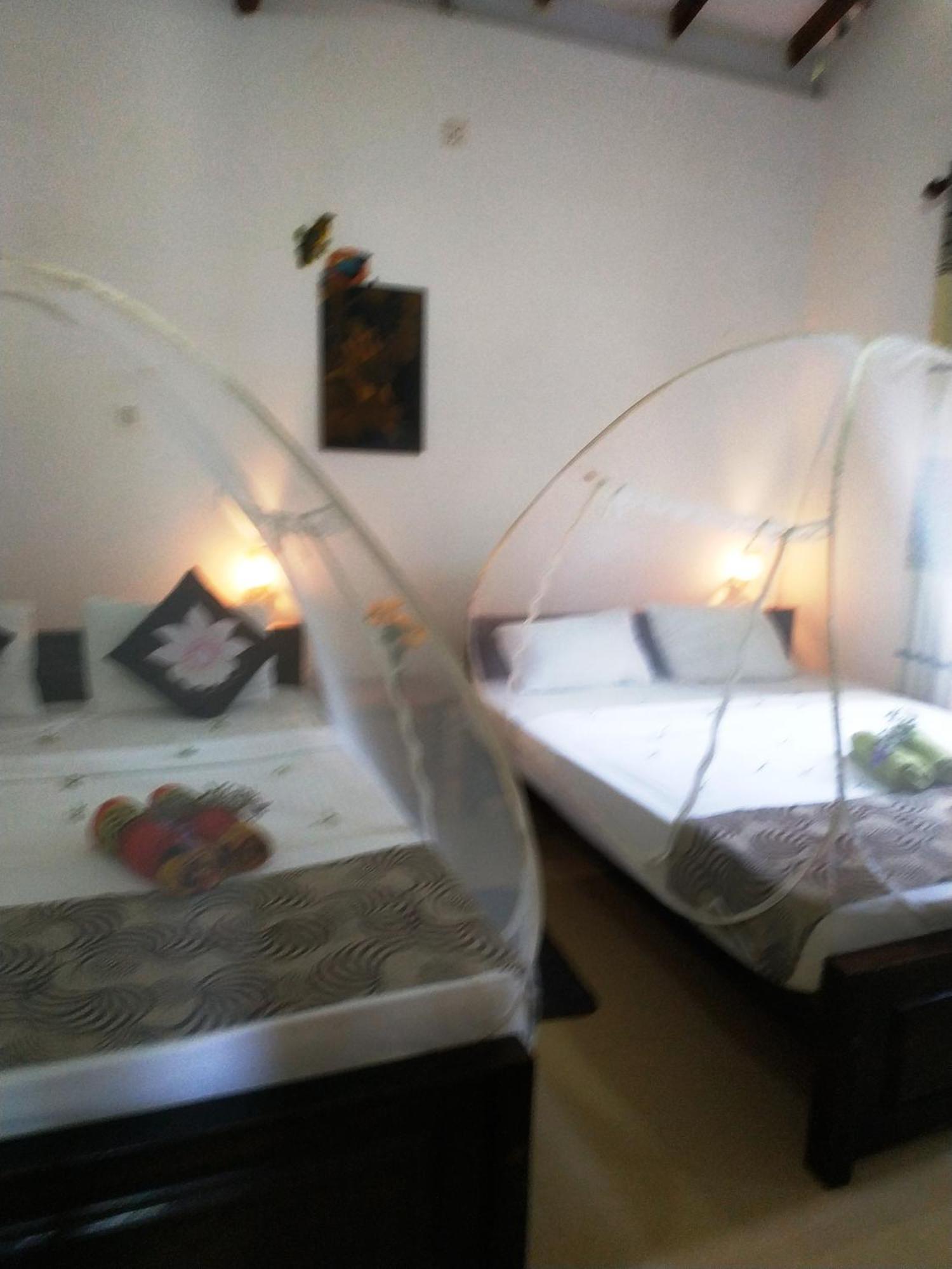그린우드 우다왈라와 사파리 리조트 우다왈라웨 외부 사진
